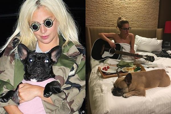 Dàn siêu sao dự khai mạc, rước đuốc Olympic Paris 2024-4