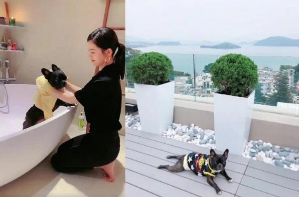 Văn Vịnh San tiết lộ mối quan hệ rạn nứt với Angela Baby-3