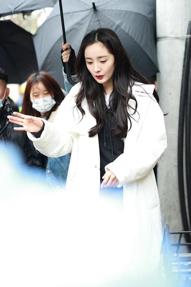 Xuất hiện bên người tình màn ảnh Hứa Khải, Dương Mịch lộ tóc thưa, mặt già-2