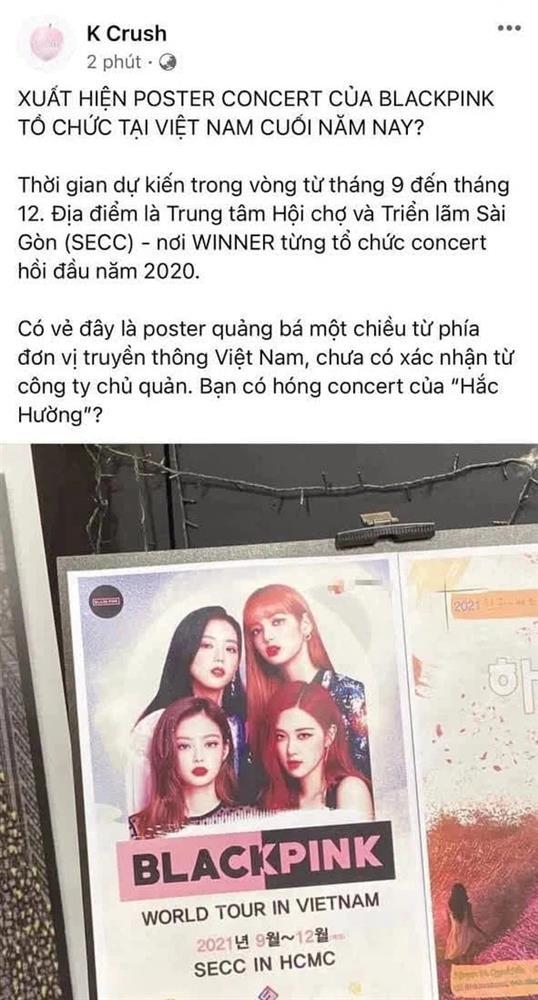 Thấy poster BLACKPINK tổ chức concert ở Việt Nam, netizen phản ứng: Qua hát trong khu cách ly hay gì-1