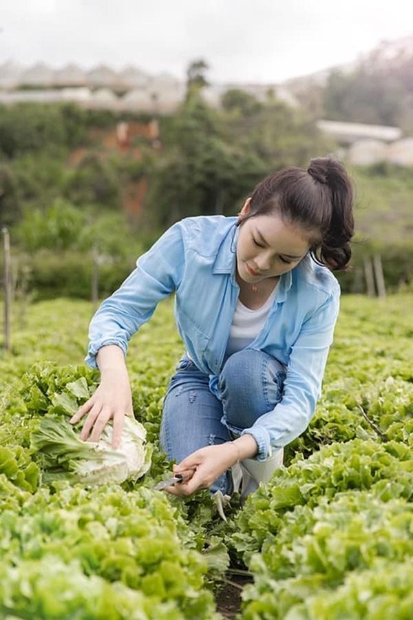 Lý Nhã Kỳ thu hoạch rau củ tại nông trại ở Đà Lạt.