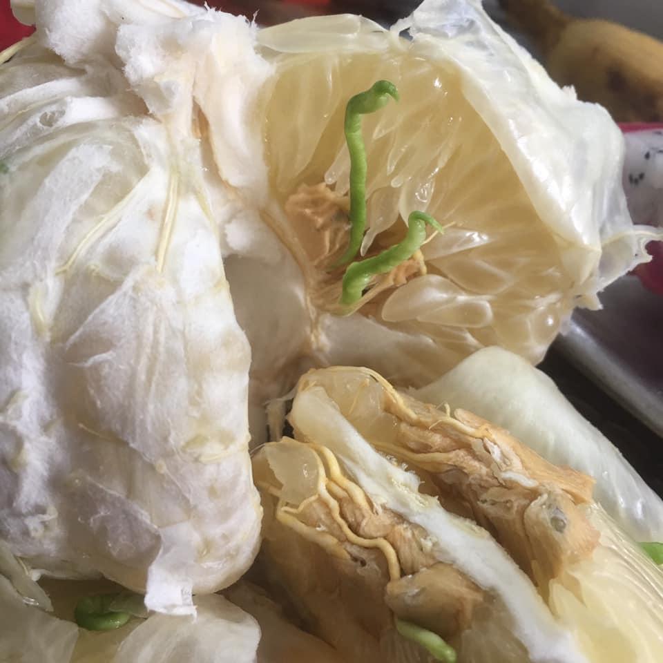 Cất bưởi xuống gầm giường, đến khi mang gọt vỏ, người đàn ông sốc tận óc trước hiện tượng lạ-6