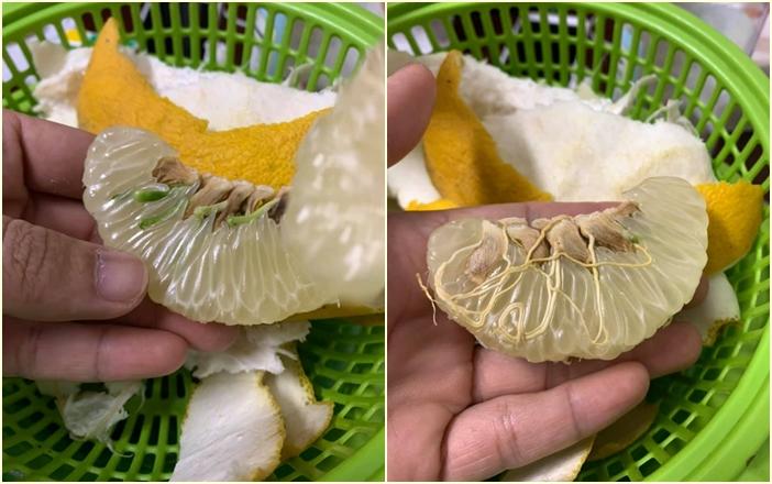 Cất bưởi xuống gầm giường, đến khi mang gọt vỏ, người đàn ông sốc tận óc trước hiện tượng lạ-1