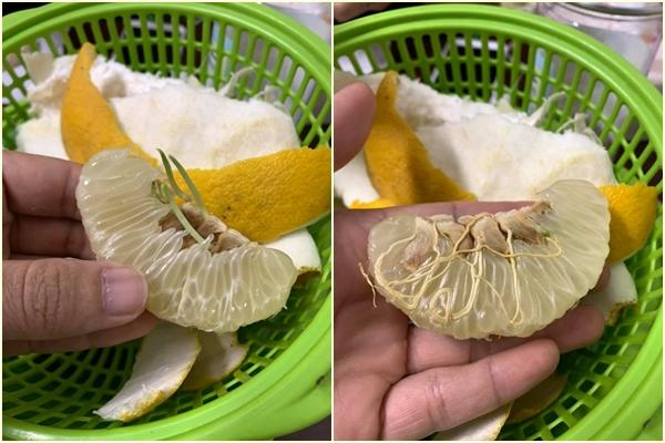 Mùa hoa bưởi đã về trên phố, làm ngay 4 món ngon đãi cả nhà kẻo lỡ-5