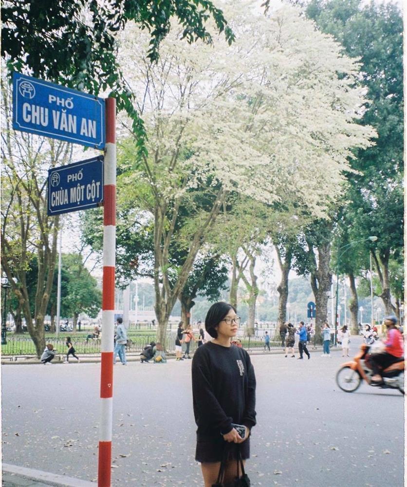 Hoa sưa nở trắng trời tạo nên khung cảnh Hà Nội đẹp như thơ, đầy xao xuyến-4