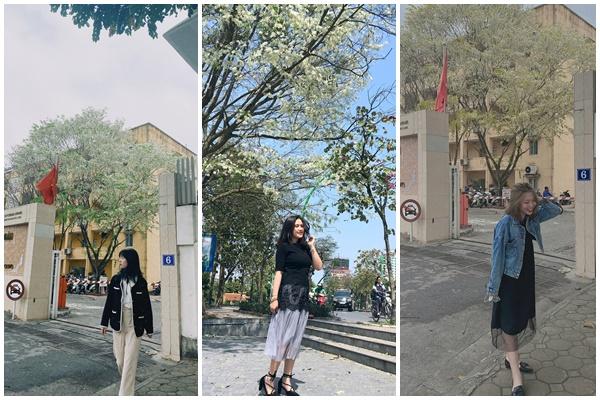 Ăn dạo quán vỉa hè những buổi tối cuối xuân ở 36 phố phường-16