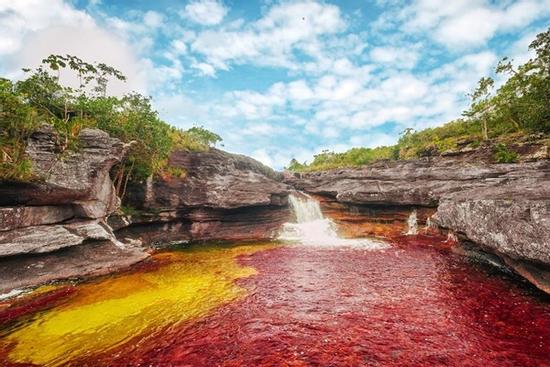 Dòng sông ngũ sắc ở Colombia