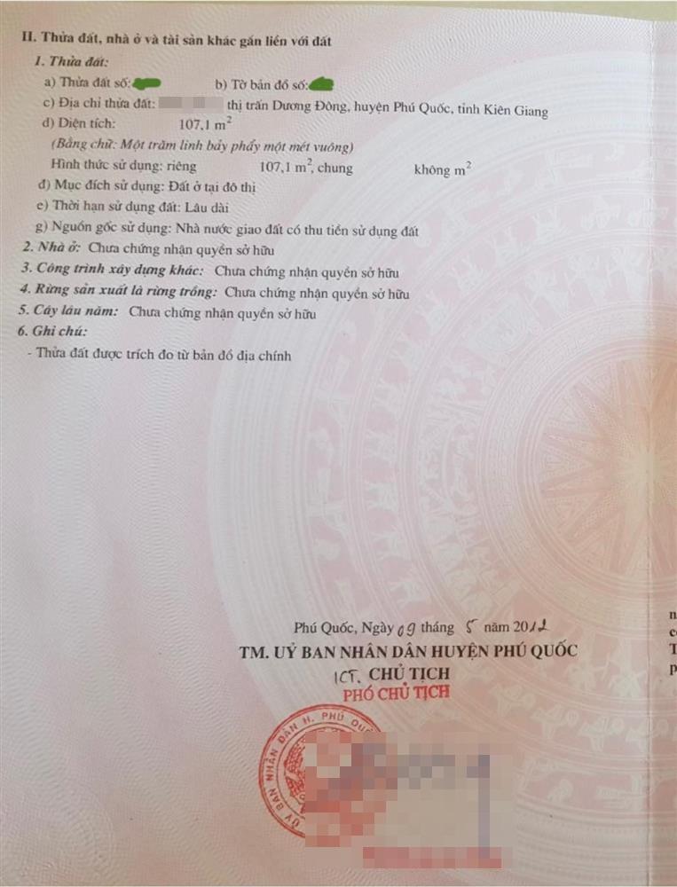 Vợ cũ Thành Trung gây ngạc nhiên khi liên tục tậu nhà đất-4