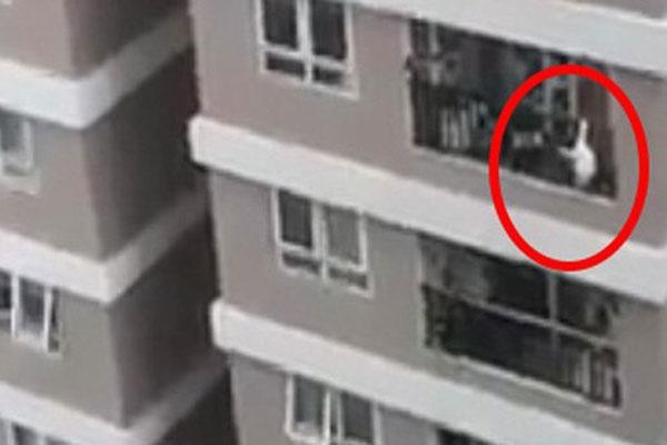 Clip: Em bé 3 tuổi rơi từ tầng 13 chung cư ở Hà Nội xuống đất-1