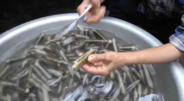 Bà Tân Vlog làm món ăn cầu kỳ vẫn bị người xem quay lưng-3