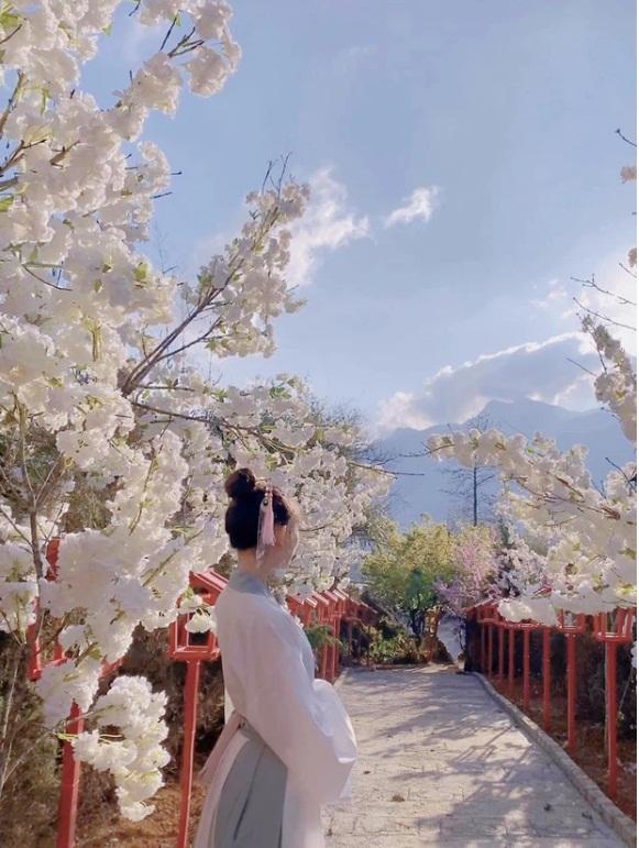 Chẳng cần du lịch thế giới, đến Sapa có ngay những điểm check-in xịn xò như đang ở bển-6