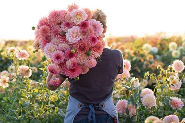 5 điềm lành xuất hiện báo hiệu gia chủ sắp phát tài-3