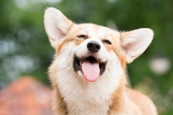 Gái ngoan chọn chồng nhớ lấy người có 2 nét tướng đầu, kiểu thứ 3 chạy xa còn kịp-3