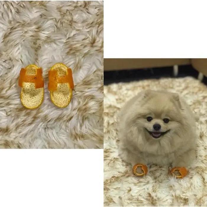 Đàm Thu Trang làm dép Hermès cho con bằng vỏ bưởi-10