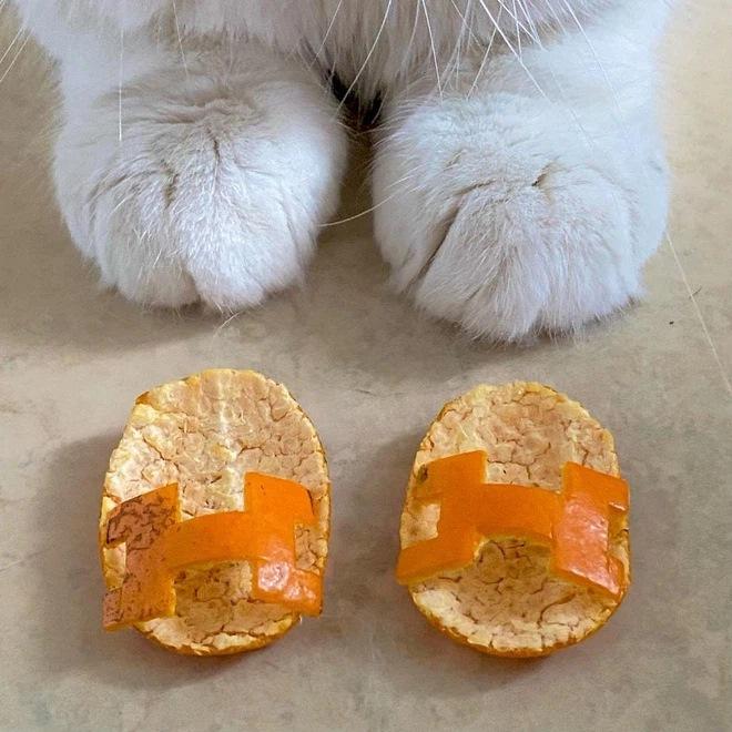 Đàm Thu Trang làm dép Hermès cho con bằng vỏ bưởi-11