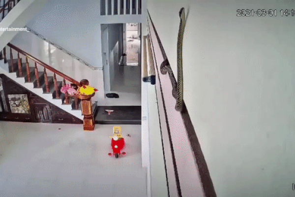 Nửa đêm tỉnh dậy mở cửa, thất kinh khi thấy Bé Na an vị trong then cài-2