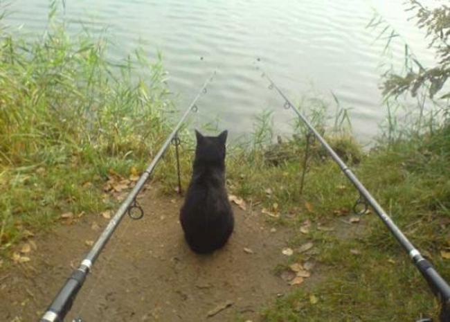 Những màn câu cá gây choáng, chỉ có cần thủ thực thụ mới nghĩ ra-10