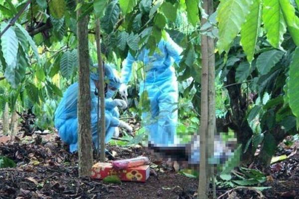 Công an nói về vụ thi thể không nguyên vẹn trong rẫy cà phê-1