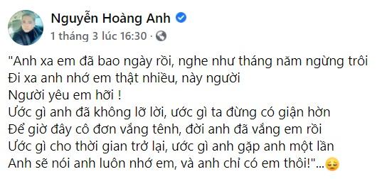 Hoàng Anh làm gì trong lúc bạn bè và vợ cũ khẩu chiến?-6