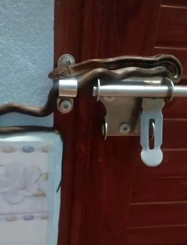 Nửa đêm tỉnh dậy mở cửa, thất kinh khi thấy Bé Na an vị trong then cài-1