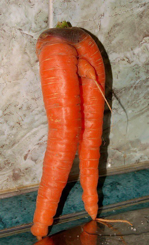 Bộ sưu tập những củ cà rốt có đôi chân dài miên man khiến hội chị em ao ước-9