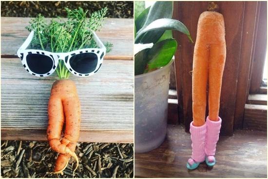 Bộ sưu tập những củ cà rốt có 'đôi chân dài' miên man khiến hội chị em ao ước