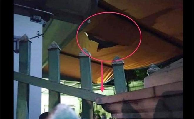 Với tay lấy đồ chơi, bé trai 4 tuổi ở Nam Định rơi từ tầng 2 xuống đất tử vong-1