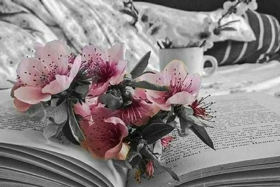 Tử vi 12 cung hoàng đạo thứ Bảy ngày 6/3/2021: Cự Giải chủ quan, Nhân Mã tiến bộ