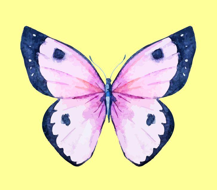 Con bướm bạn chọn sẽ tiết lộ những tính cách ẩn giấu bên trong con người bạn-7