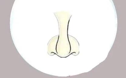 Đây là 3 tướng mũi phú quý, đàn ông làm quan, phụ nữ làm phu nhân giàu có-1