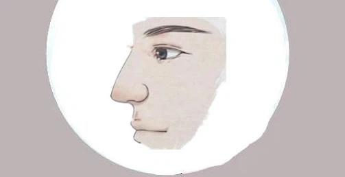 Đây là 3 tướng mũi phú quý, đàn ông làm quan, phụ nữ làm phu nhân giàu có-2