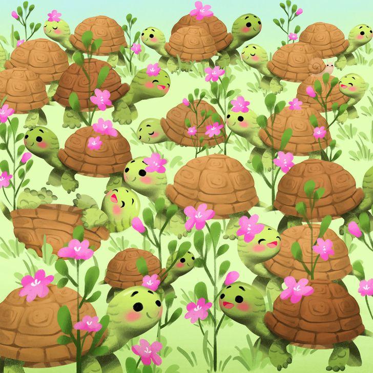 Bạn sẽ trở thành thiên tài nếu trong 5s tìm được điểm khác biệt-8