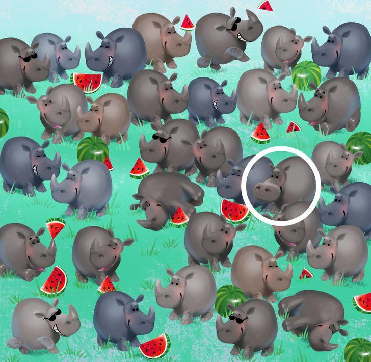 Tìm được điểm khác biệt trong những bức tranh này chứng tỏ bạn quá tinh mắt-16