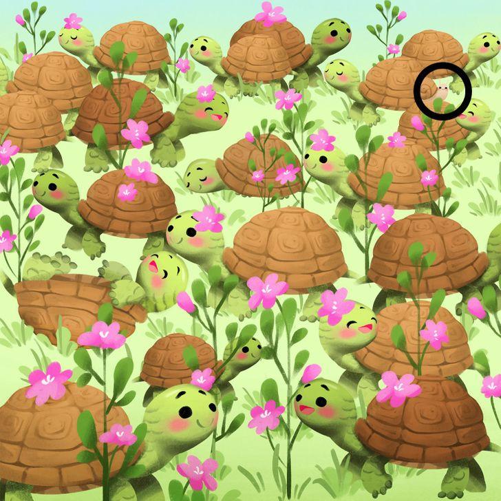 Bạn sẽ trở thành thiên tài nếu trong 5s tìm được điểm khác biệt-16