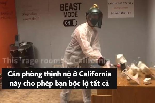 Khu rừng đá vôi 270 triệu năm tuổi-1