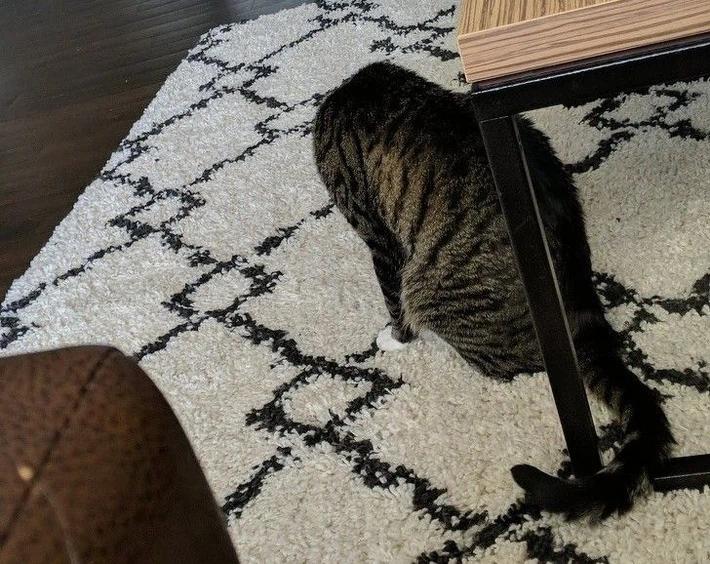 Tuyển tập hình ảnh có khả năng gây lú khiến người xem không biết đâu mà lần-3