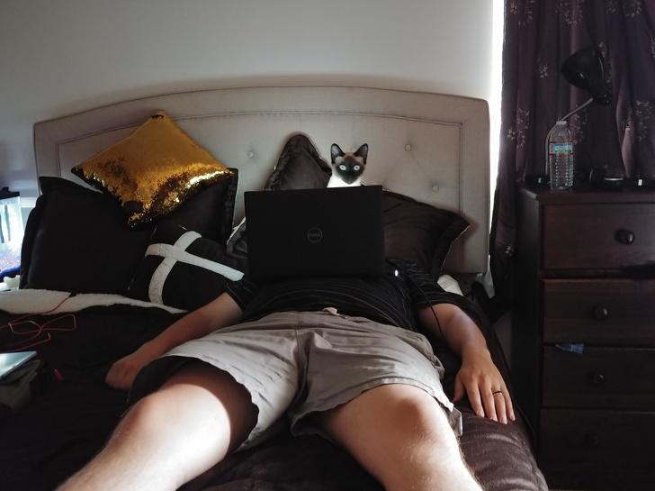 Tuyển tập hình ảnh có khả năng gây lú khiến người xem không biết đâu mà lần-7