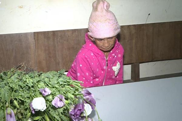 Phát hiện đối tượng 86 tuổi trồng thuốc phiện trên nương-1