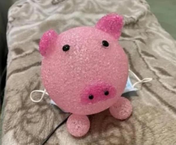 Em kết nghĩa gửi vali của Vân Quang Long về Việt Nam-6