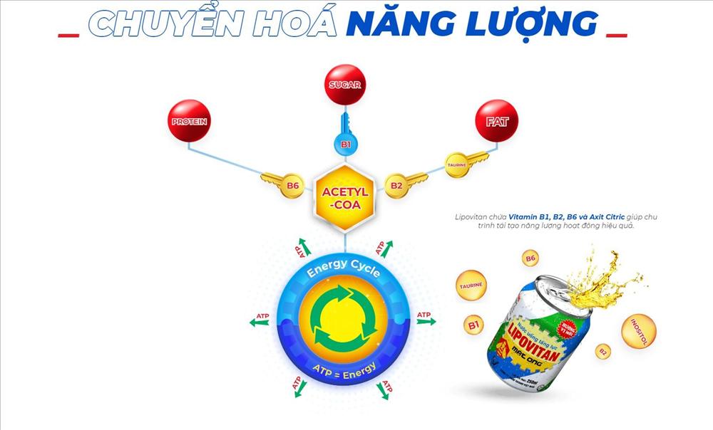 Lý do nước tăng lực Lipovitan được ưa chuộng-2