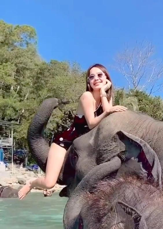 Thích sống ảo, ngồi lên đầu voi chụp ảnh, cô gái nhận cái kết ê chề-1