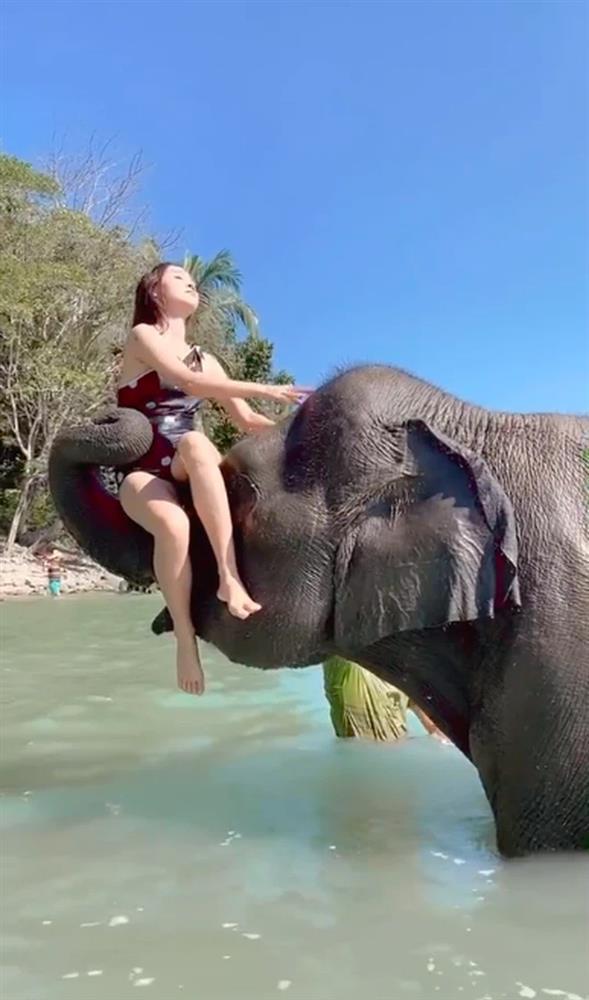 Thích sống ảo, ngồi lên đầu voi chụp ảnh, cô gái nhận cái kết ê chề-2
