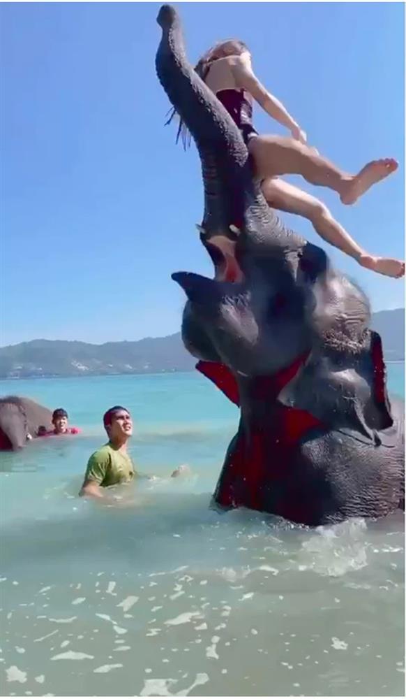 Thích sống ảo, ngồi lên đầu voi chụp ảnh, cô gái nhận cái kết ê chề-3