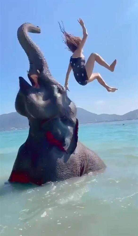 Thích sống ảo, ngồi lên đầu voi chụp ảnh, cô gái nhận cái kết ê chề-4