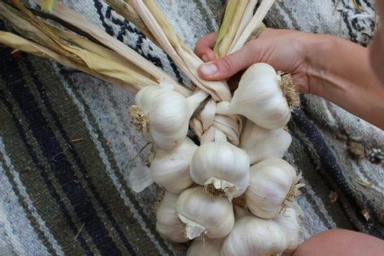 Cổ nhân dạy: Đặt 5 vật phẩm này trong nhà để đuổi tà khí, giúp gia chủ nhanh vượng phát