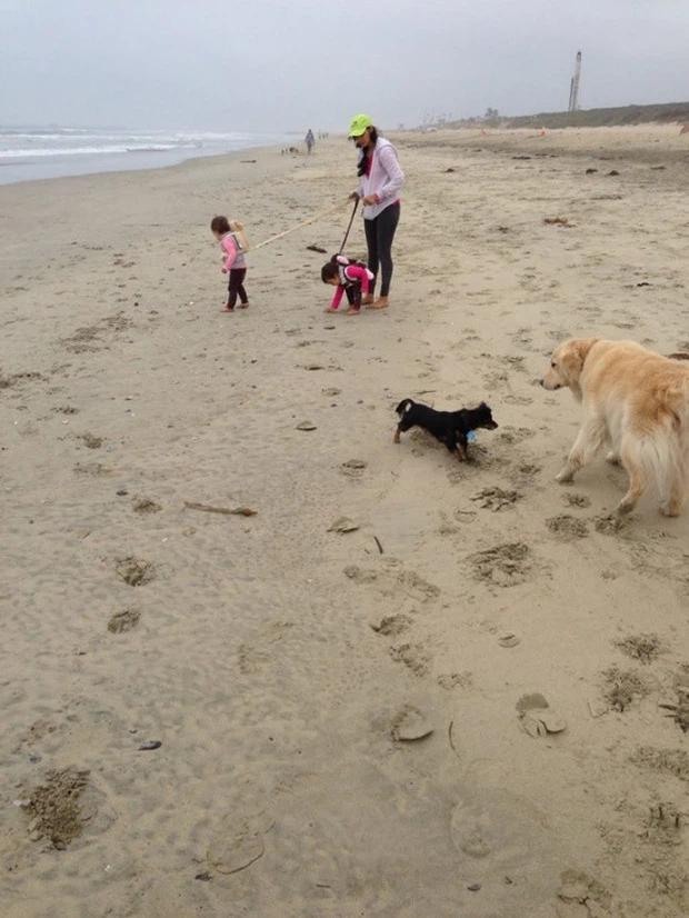 Loạt tình huống ngược đời, hóa ra trên đời cái gì cũng có thể xảy ra-3