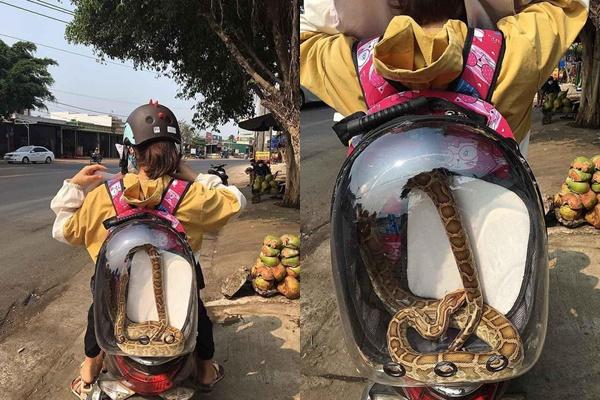 Cô gái nằm ngủ để trăn khổng lồ dạo chơi quanh giường-4