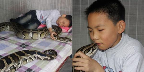 Cô gái nằm ngủ để trăn khổng lồ dạo chơi quanh giường-2