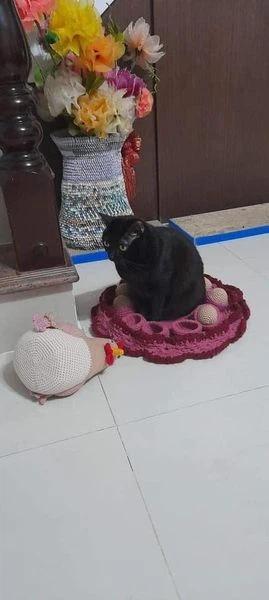 Con sen khổ sở vì hoàng thượng có sở thích ấp trứng, ổ gà trang trí cũng bị phá-2