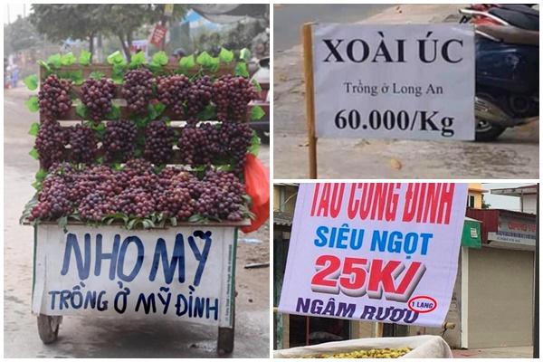 Mê mẩn vườn súng nở rực rỡ trong không gian sống của mẹ Hà Nội-10